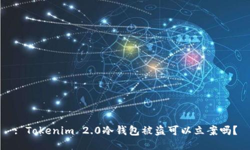 : Tokenim 2.0冷钱包被盗可以立案吗？