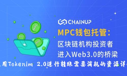 使用Tokenim 2.0进行转账需要消耗的资源详解