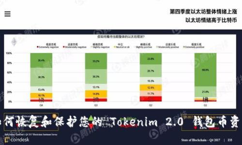 如何恢复和保护您的 Tokenim 2.0 钱包币资产