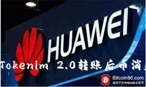 如何解决Tokenim 2.0转账后币消失的问题？