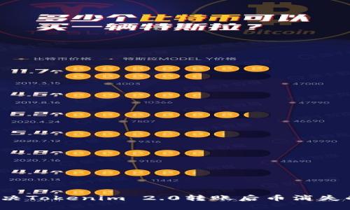 如何解决Tokenim 2.0转账后币消失的问题？