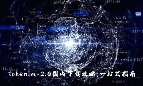 Tokenim 2.0国内下载攻略：一站式指南