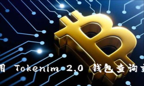 如何使用 Tokenim 2.0 钱包查询交易记录