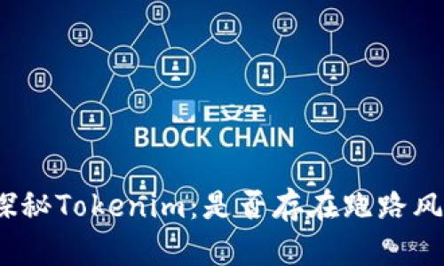 : 探秘Tokenim：是否存在跑路风险？