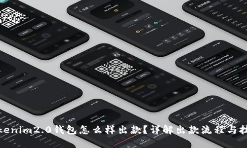 tokenim2.0钱包怎么样出款？详解出款流程与技巧
