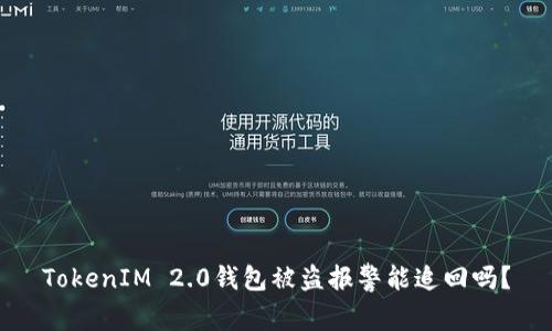 TokenIM 2.0钱包被盗报警能追回吗？