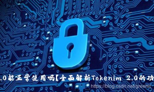 Tokenim 2.0能正常使用吗？全面解析Tokenim 2.0的功能与适用性