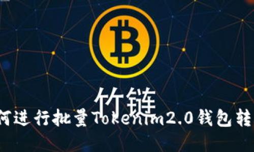 如何进行批量Tokenim2.0钱包转账？