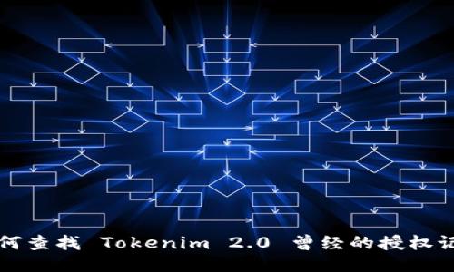 如何查找 Tokenim 2.0 曾经的授权记录