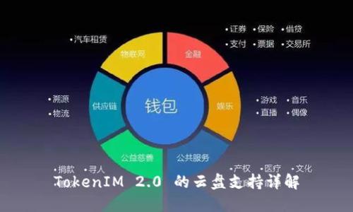 TokenIM 2.0 的云盘支持详解