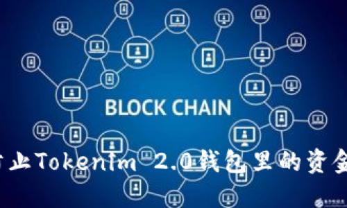 如何防止Tokenim 2.0钱包里的资金被盗？