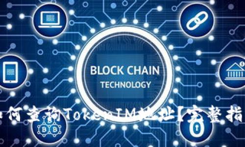 如何查询TokenIM地址？完整指南