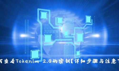 如何查看Tokenim 2.0的密钥？详细步骤与注意事项