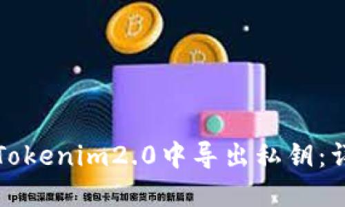 如何在Tokenim2.0中导出私钥：详细指南