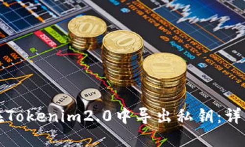 如何在Tokenim2.0中导出私钥：详细指南