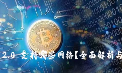 Tokenim 2.0 支持哪些网络？全面解析与应用案例