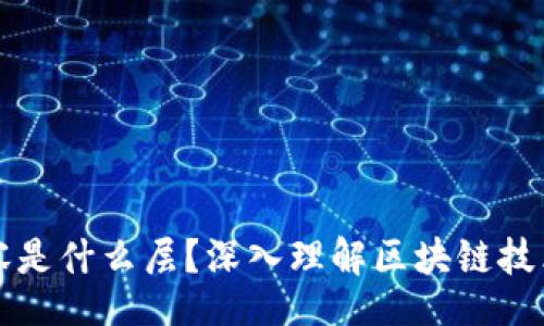 dir
区块链核心内容是什么层？深入理解区块链技术的结构与功能