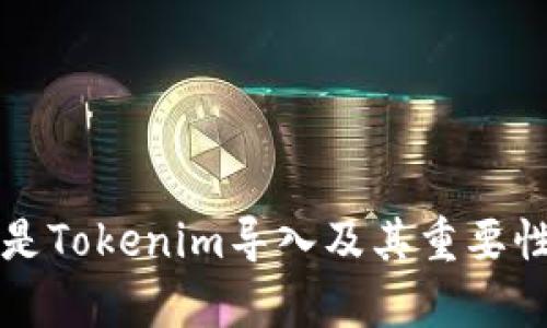 什么是Tokenim导入及其重要性解析