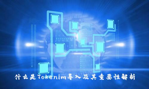 什么是Tokenim导入及其重要性解析